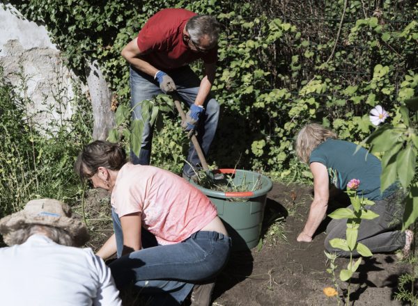 Einsäen im Museumsgarten