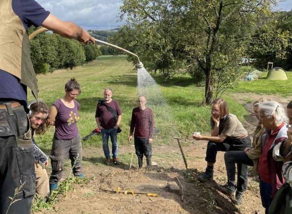 Testen der Maßnahmen, durch Beregnung des Modells