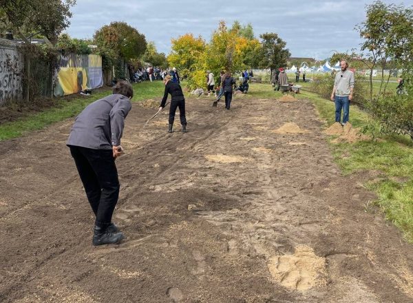 Vorbereiten der Fläche und Einsäen