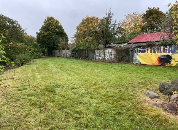 Die Fläche auf dem Tempelhofer Feld