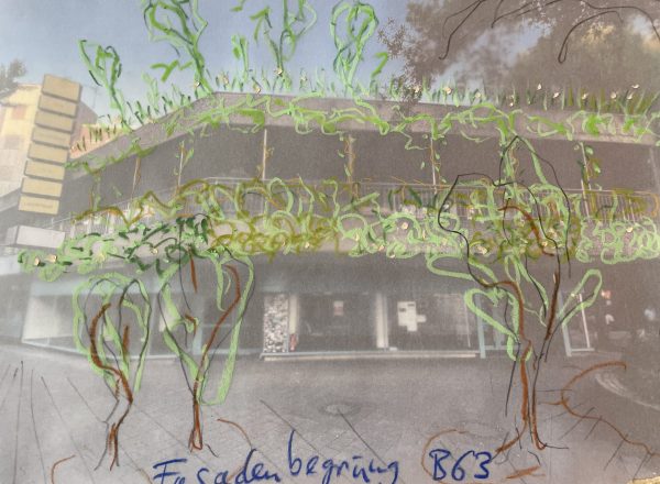 Ideen zur Gebäudebegrünung