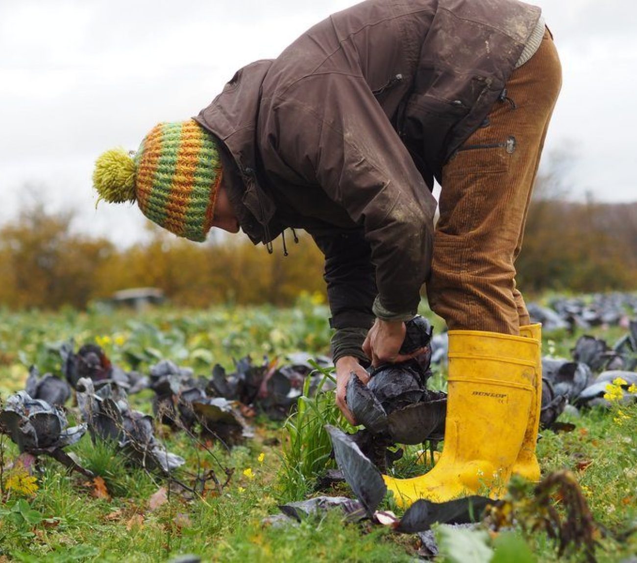 csm_0B200106_19d87d052d