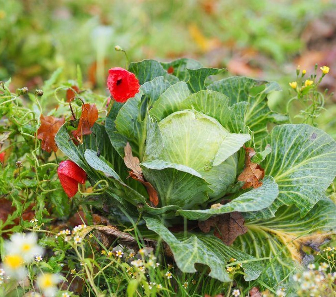 csm_0B200111_7892c13a04