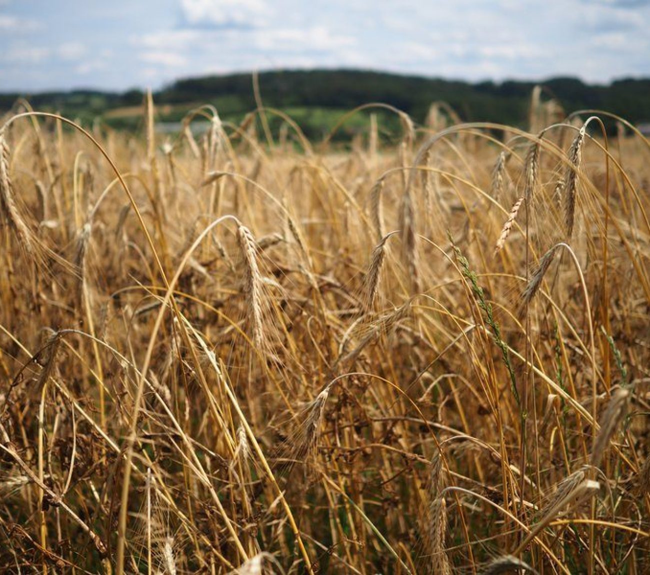 csm_P1017070_4866cda6b4