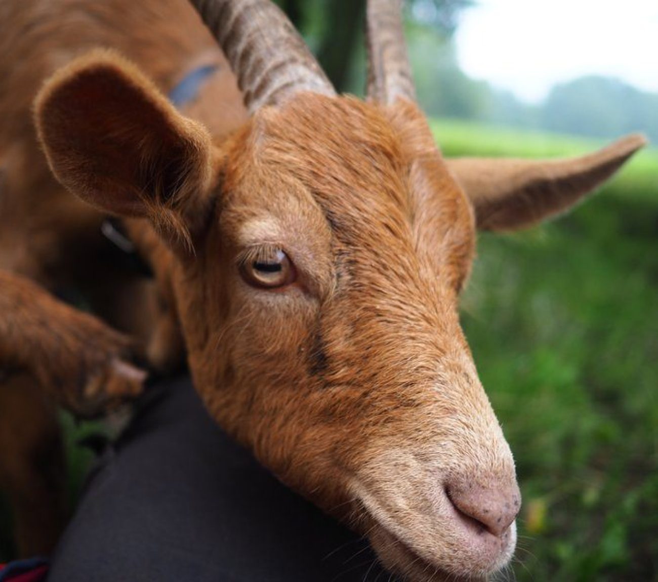 csm_P1017150_4f88624893