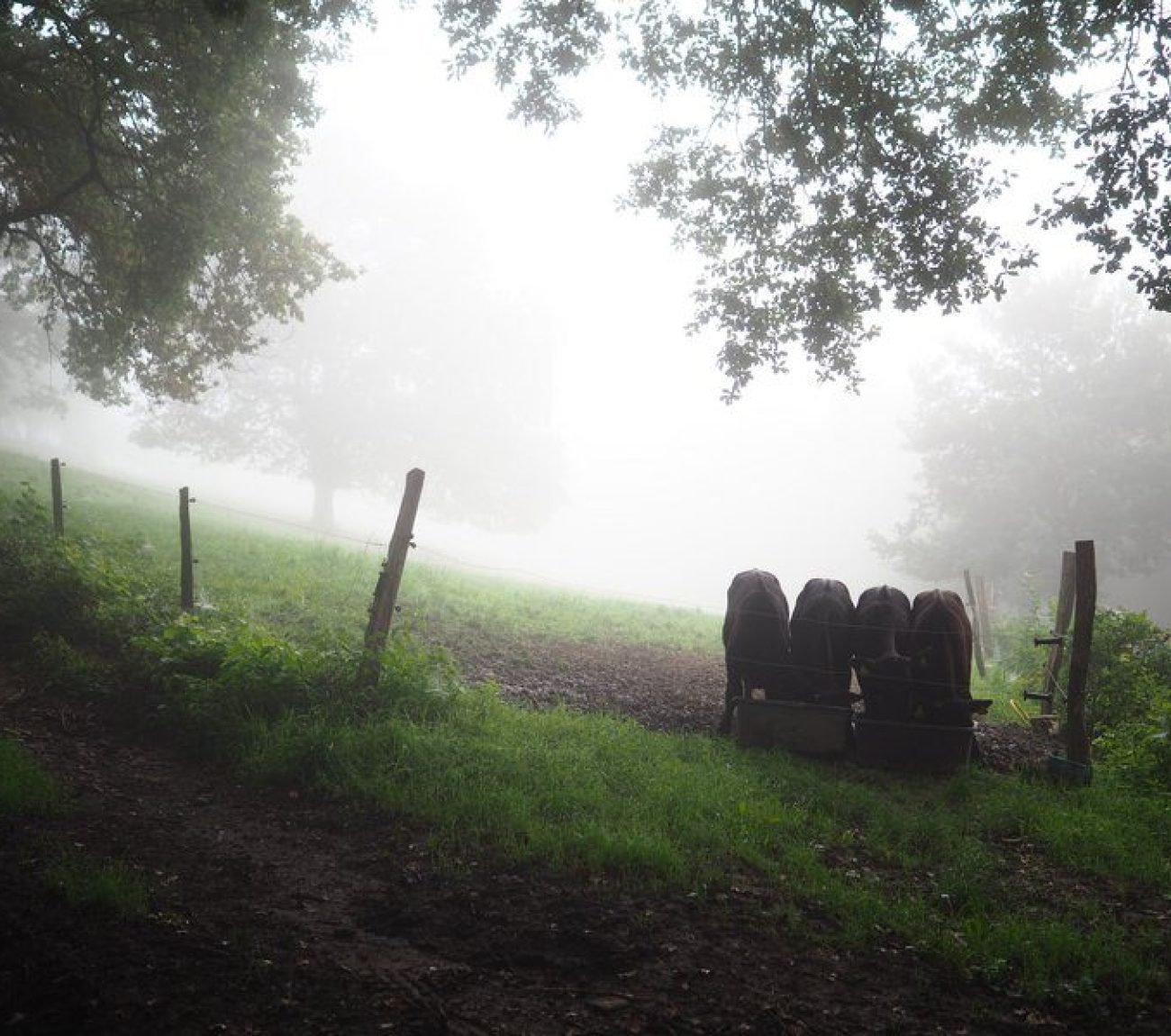 csm_P1017321_c3b250aa1c