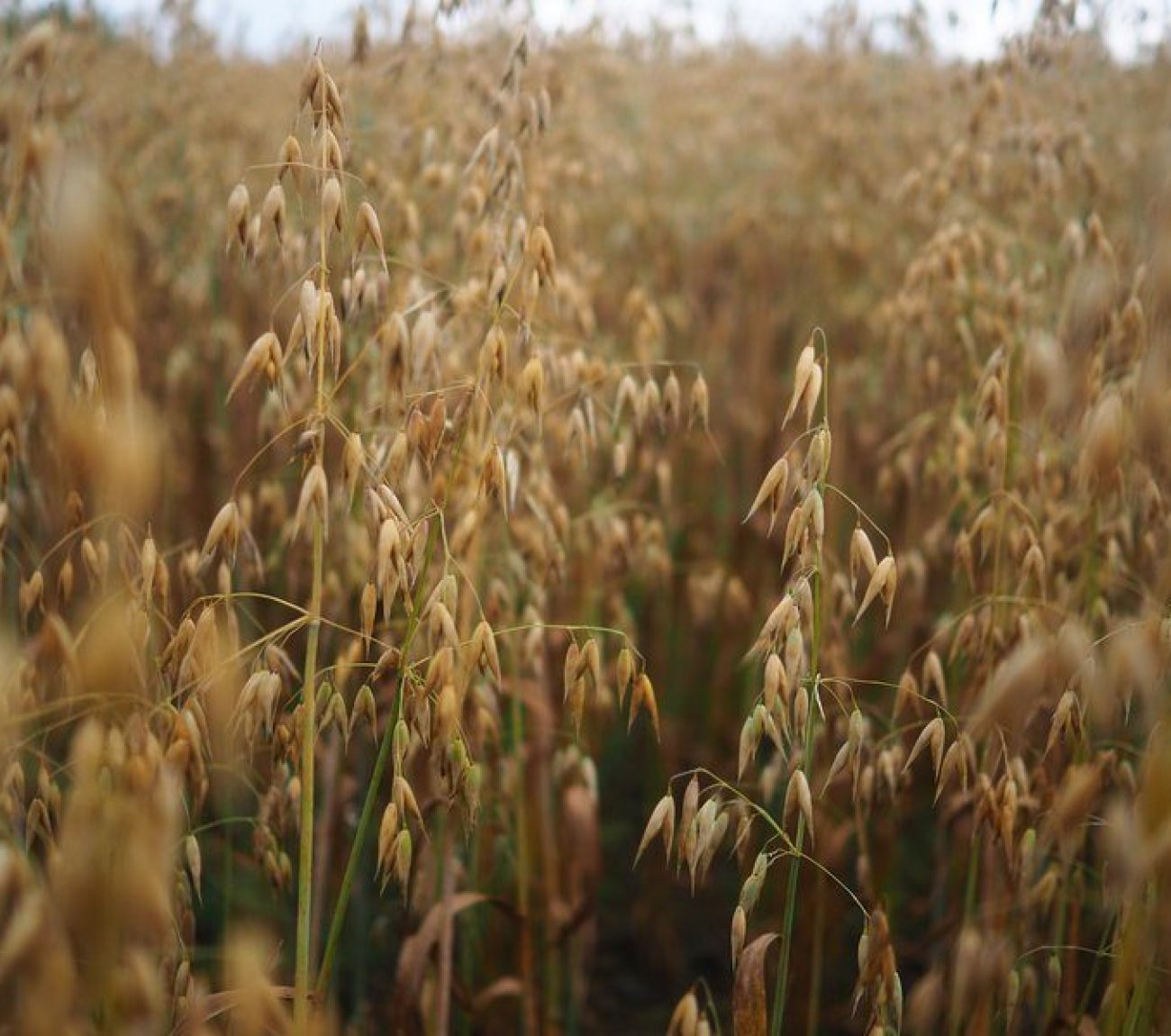 csm_P1020002_b9d3e4f976