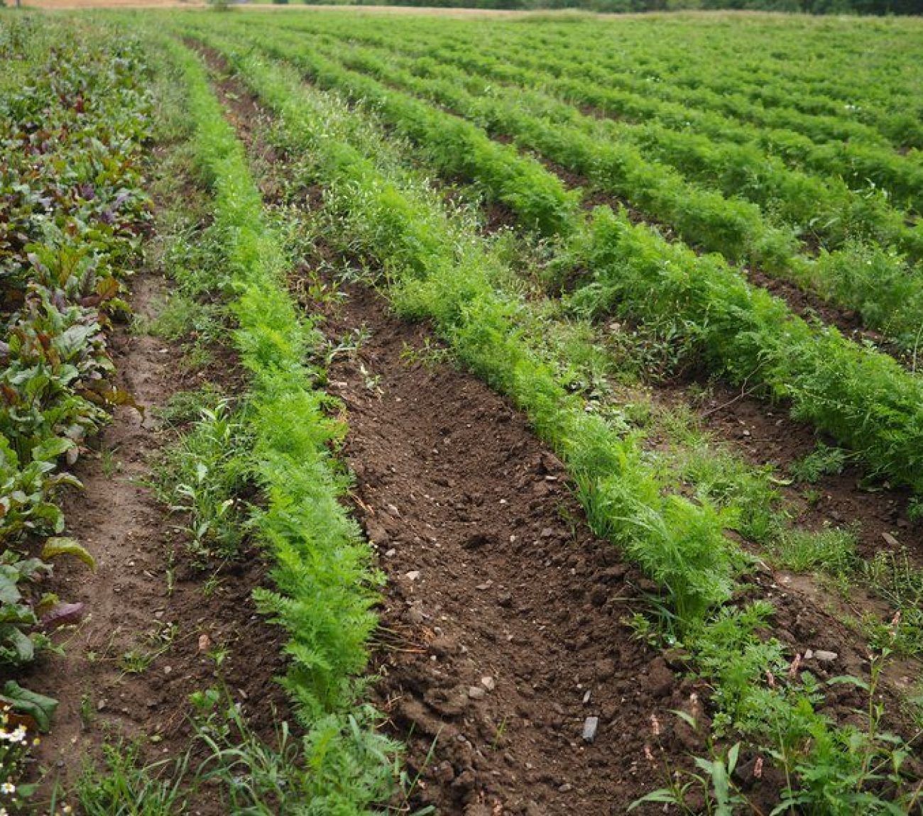 csm_P1020012_da4af5e28f