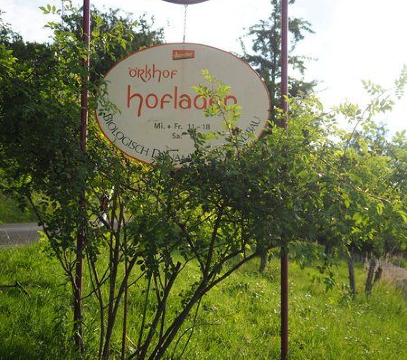 csm_P1029581_13099b114c