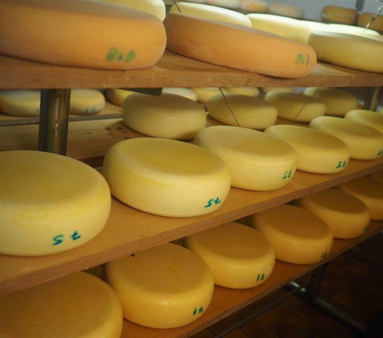 csm_P1029722_0a284a91bd