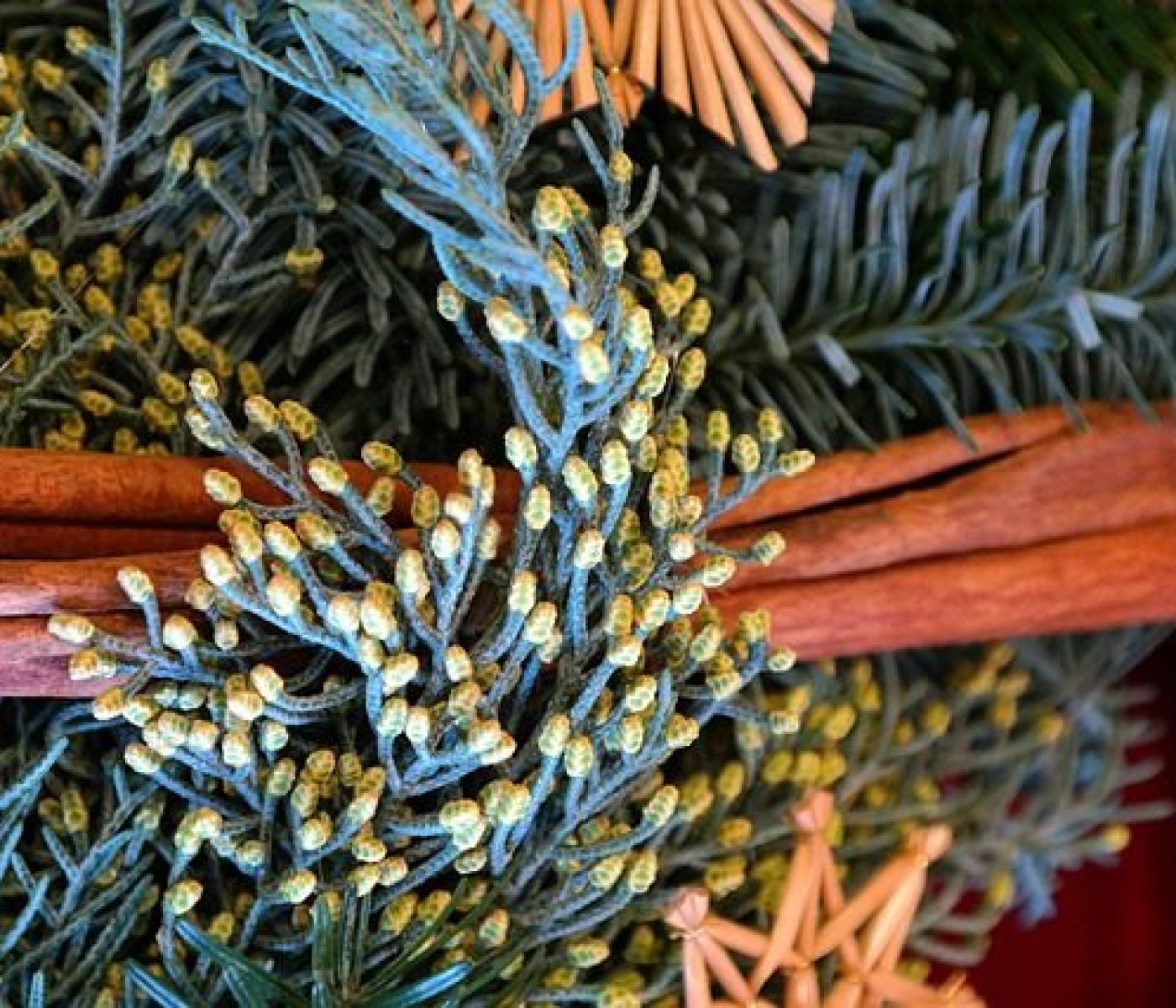 flower-arrangement-232038_640