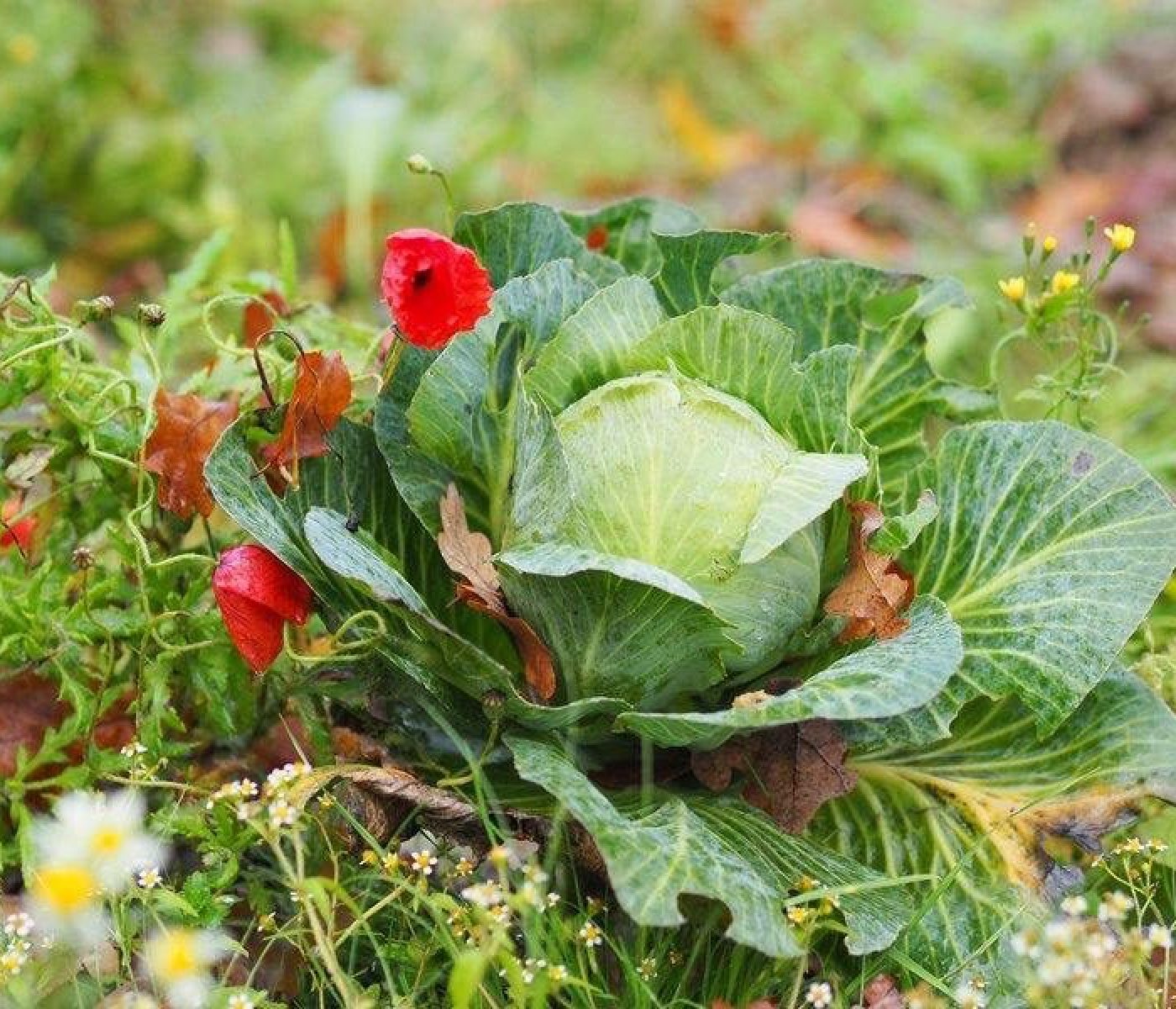 photo_2025-11-18 21.00.29